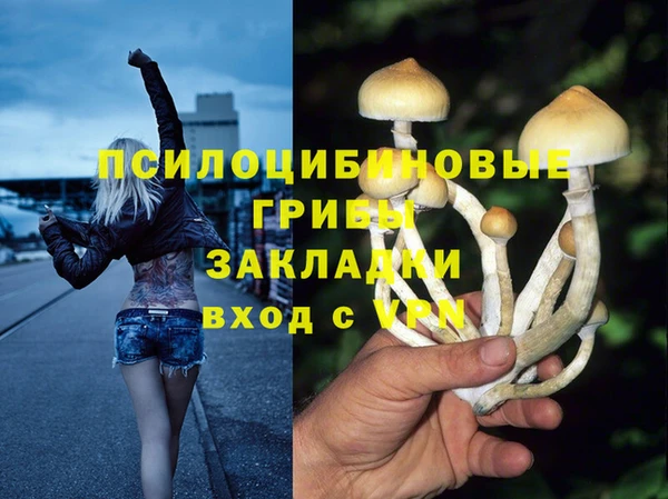 мескалин Калининец
