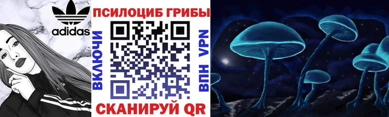 Галлюциногенные грибы мицелий Нестеровская